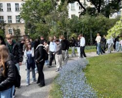 uczniowie wśród kwiatów