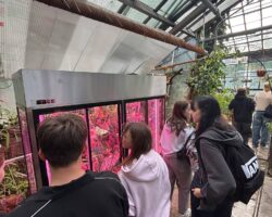 uczniowie podziwiający kwiaty w ogrodzie botanicznym