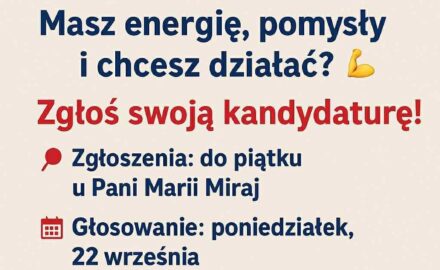 plakat wybory przewodniczącego