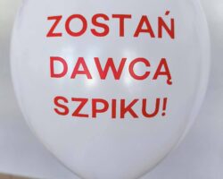 zostan dawca szpiku